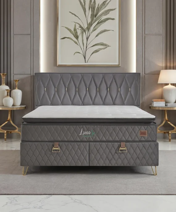 Livia New 3'lü Set